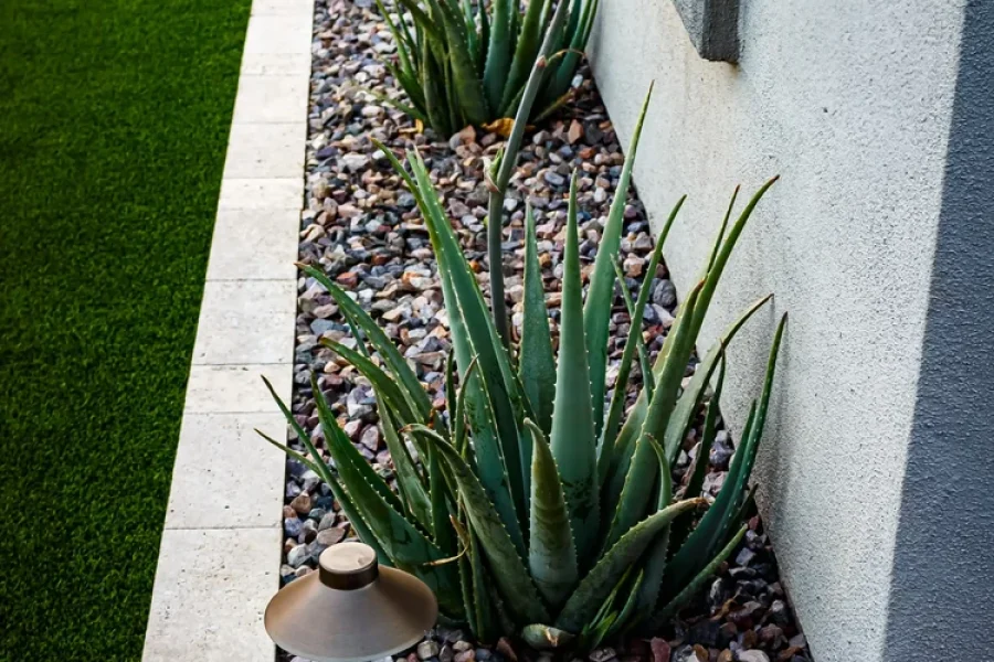 everyday-escape-landscape-design+(1)