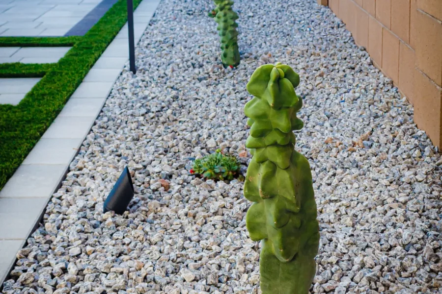 modern-simplicity-landscape-design-project+(3)